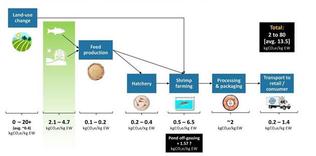 Diagram comparing the conventional shrimp supply chain with Vertical Oceans' local, closed-loop production